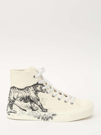 shoes фотография