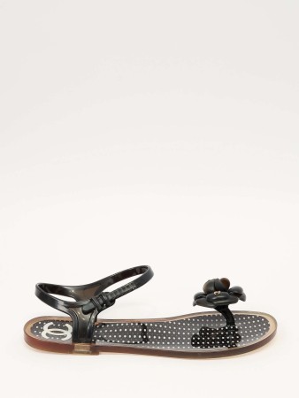 shoes фотография