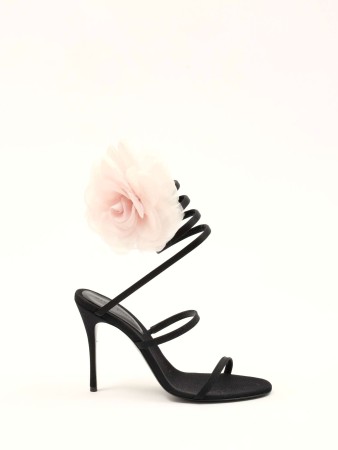 shoes фотография