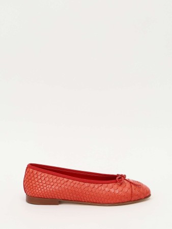 shoes фотография