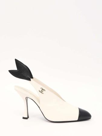 shoes фотография