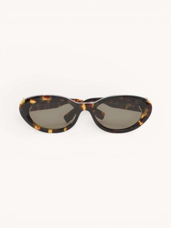 sunglasses фотография