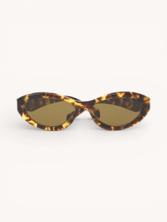 sunglasses фотография