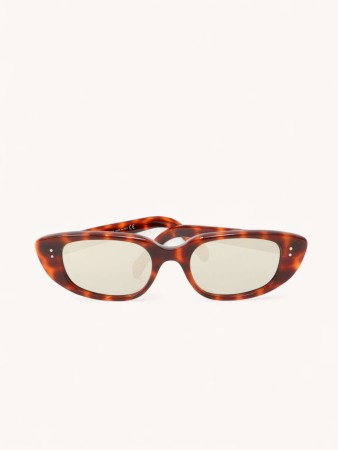 sunglasses фотография