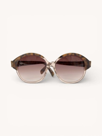 sunglasses фотография