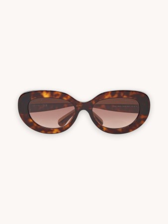 sunglasses фотография