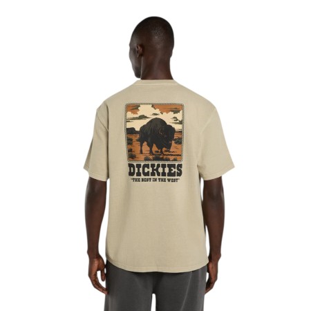 футболка darrtown ss tee фотография