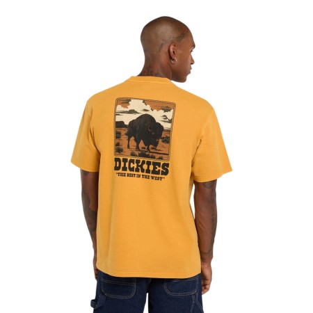 футболка darrtown ss tee - мужская одежда, обувь и аксессуары dickies 