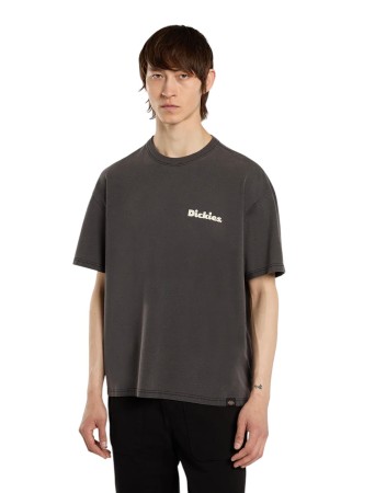футболка slayden gd tee ss - мужские футболки dickies 