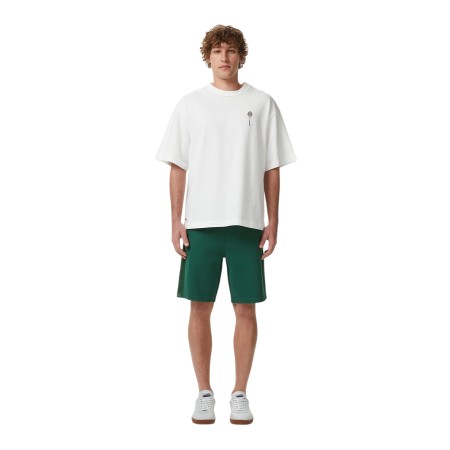 шорты shorts - одежда, обувь и аксессуары для всех возрастов lacoste 