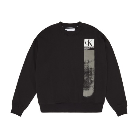 толстовка brushstroke crew nec фотография