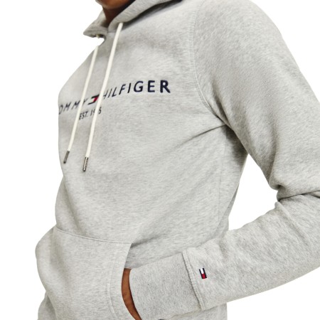 толстовка core tommy logo hood фотография
