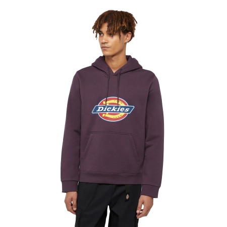 толстовка icon logo hoodie фотография
