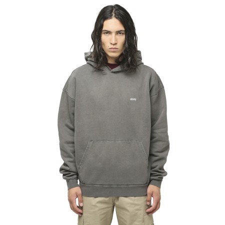 толстовка lowercase pigment hood фотография