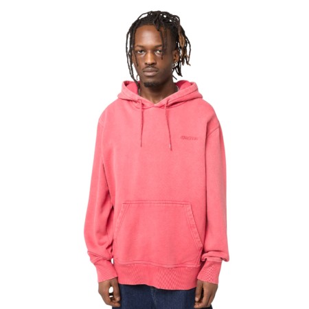 толстовка plentywood hoodie фотография