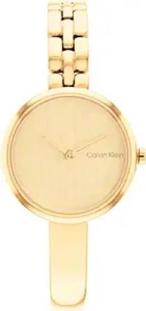 fashion наручные женские часы . коллекция bangled - аксессуары calvin klein 