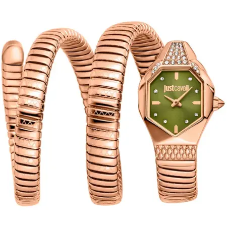 fashion наручные женские часы . коллекция snake фотография