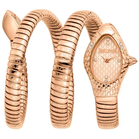 fashion наручные женские часы . коллекция snake фотография